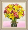 University Flower Shop, 7 C Nickels Arc, Ann Arbor, MI 48104, (734)_668-8096